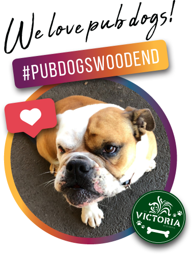 The Victoria Hotel Pub Dogs Banner
